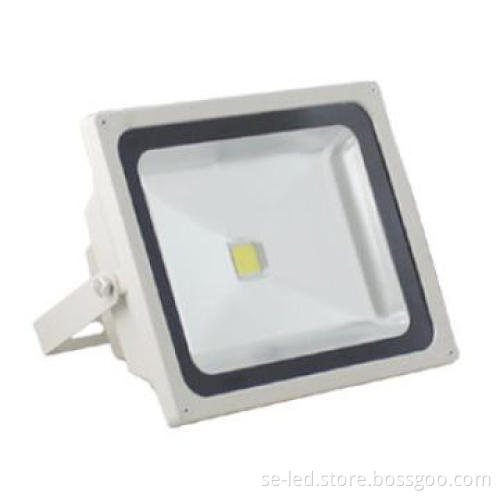 Natural White 10W RGB Outdoor IP65 led floodlights